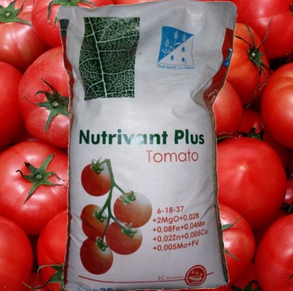 Фосфорно-калийные удобрения для томатов - виды и внесение